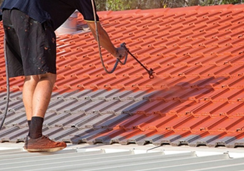 roof painter in Sydney