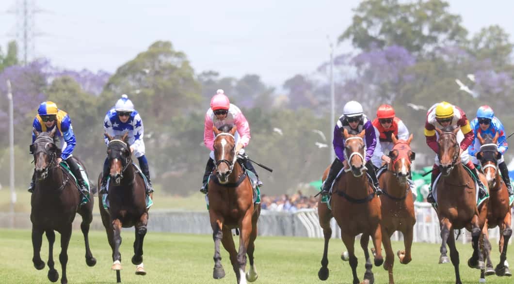 best horse racing tips in Sydney