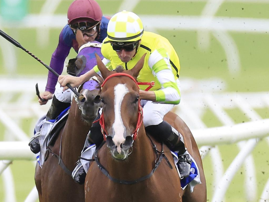 The Tactical Advantages of Sydney Racing Tips