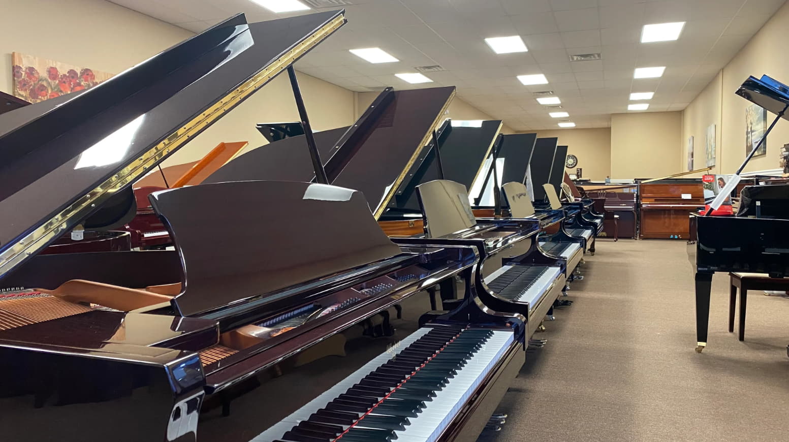 Navigating the Diverse World of Piano Warehouses in Sydney and Brisbane